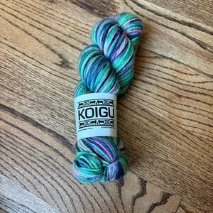 Koigu Yarn Jasmine 100% Merino Wool Multicolor Skein Green Pink DK Light Worsted
